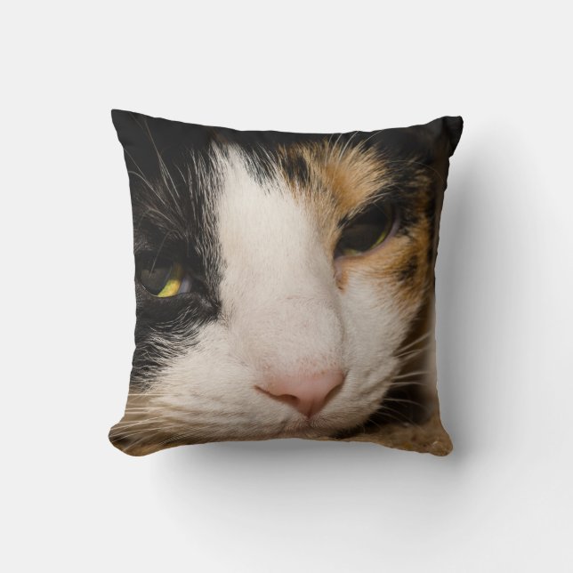 Calico Face Cushion (Front)