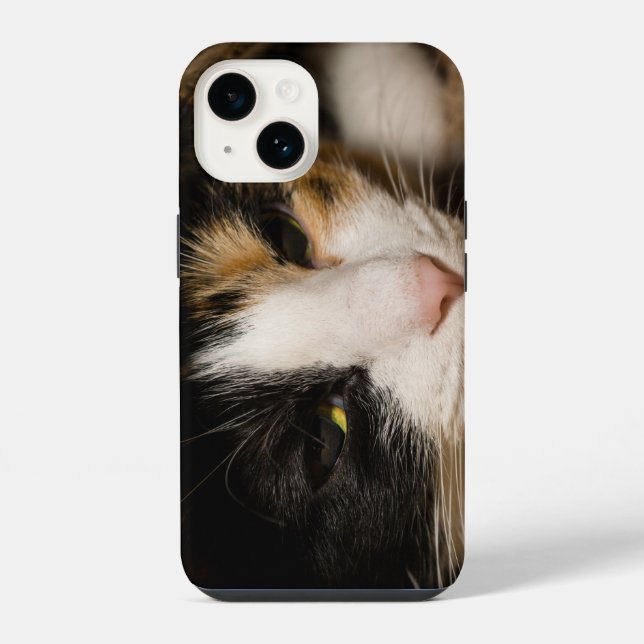 Calico Face iPhone Case (Back)