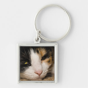 Calico Face Key Ring