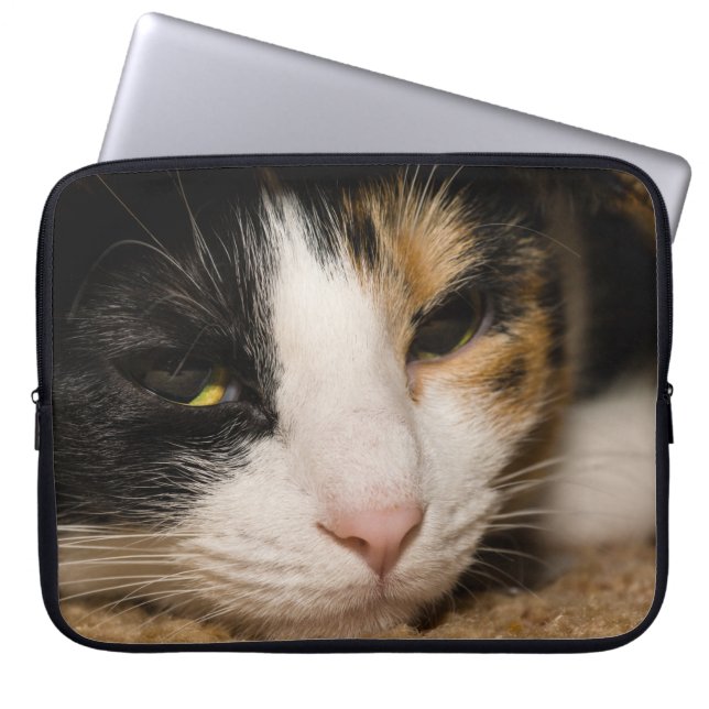 Calico Face Laptop Sleeve (Front)