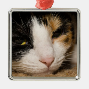Calico Face Metal Tree Decoration
