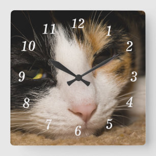Calico Face Wall Clock