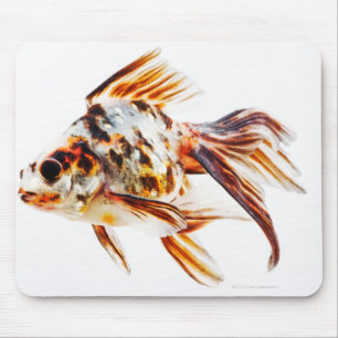Calico Fantail Comet goldfish Mouse Pad