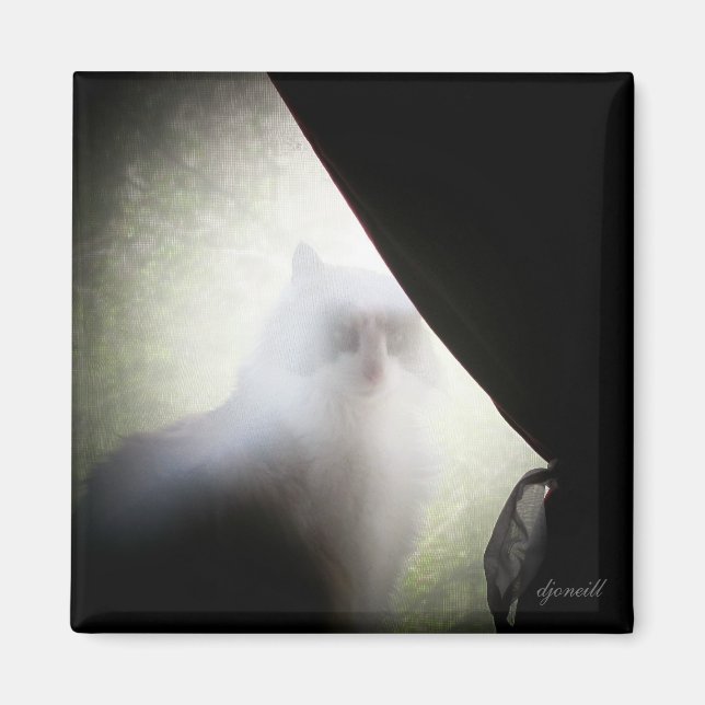 Calico Ghost Cat by djoneill Magnet (Front)