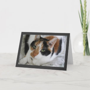 Calico greeting card