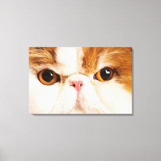 Calico Harlequin Persian Canvas Print