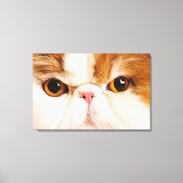 Calico Harlequin Persian Canvas Print (Front)