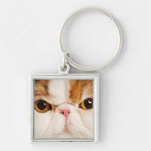 Calico Harlequin Persian Key Ring