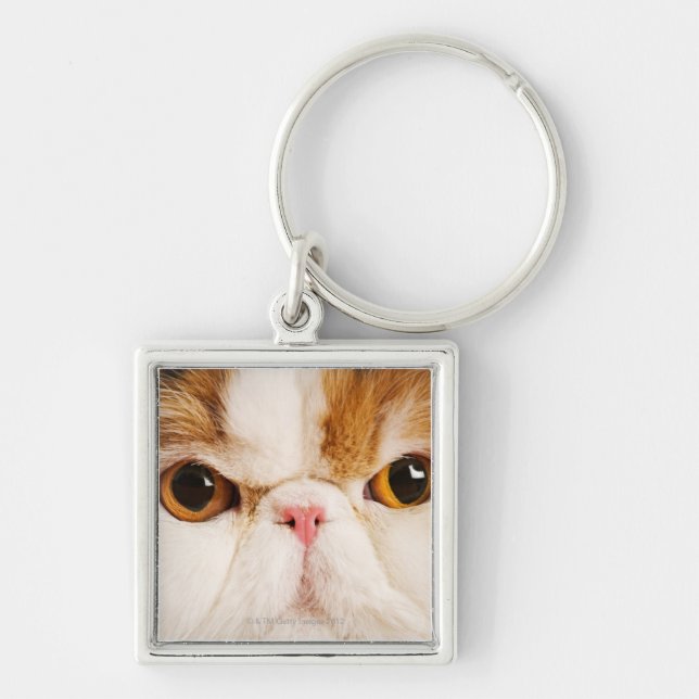 Calico Harlequin Persian Key Ring (Front)