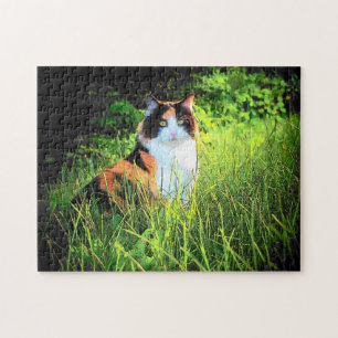Calico Hill Jigsaw Puzzle
