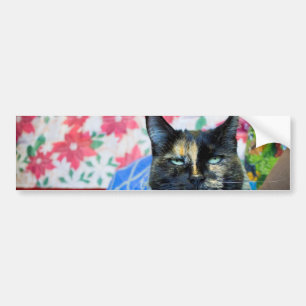 Calico I Bumper Sticker
