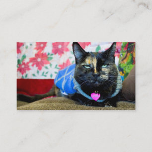 Calico I Business Card