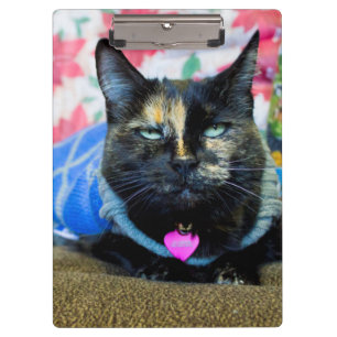 Calico I Clipboard