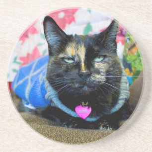 Calico I Coaster