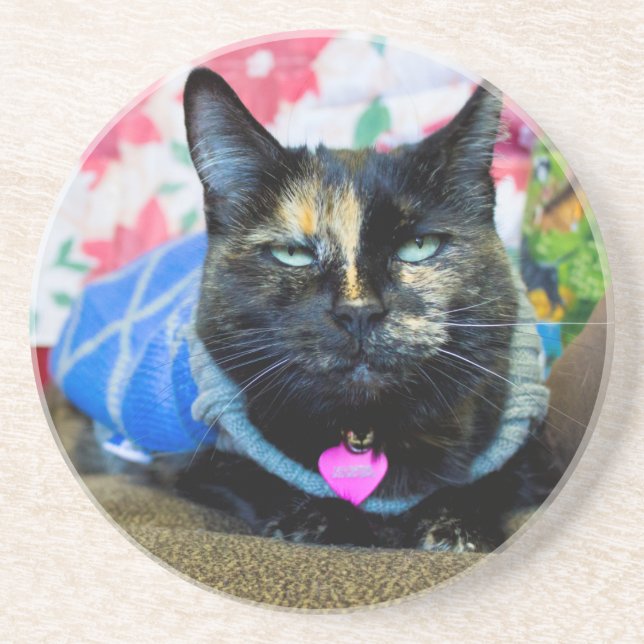 Calico I Coaster (Front)