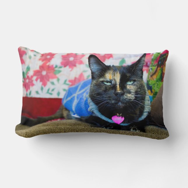 Calico I Lumbar Cushion (Front)