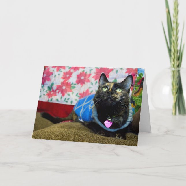 Calico II Card (Front)