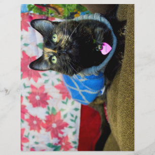 Calico II Flyer
