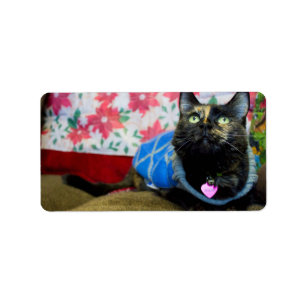 Calico II Label