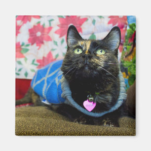 Calico II Magnet