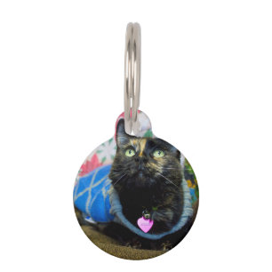 Calico II Pet Tag
