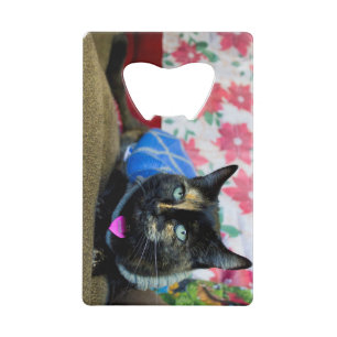 Calico III