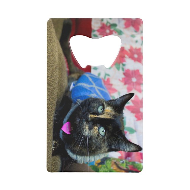 Calico III (Front)
