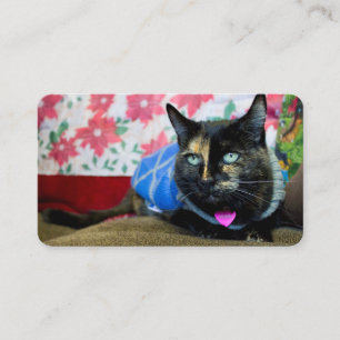 Calico III Business Card