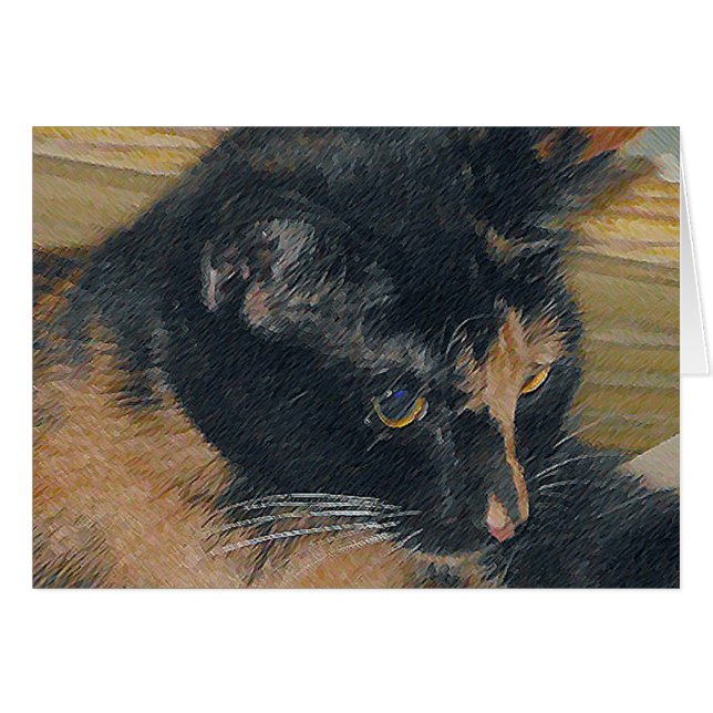 Calico Kitten Face (Front Horizontal)