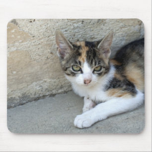 Calico Kitten Mouse Pad