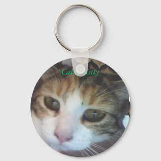 Calico Kitty..awake Key Ring