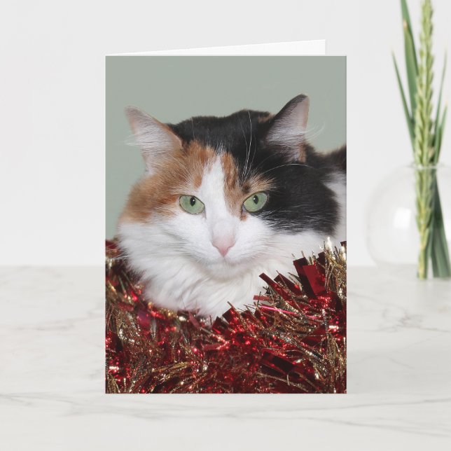 Calico kitty Christmas Holiday Card (Front)
