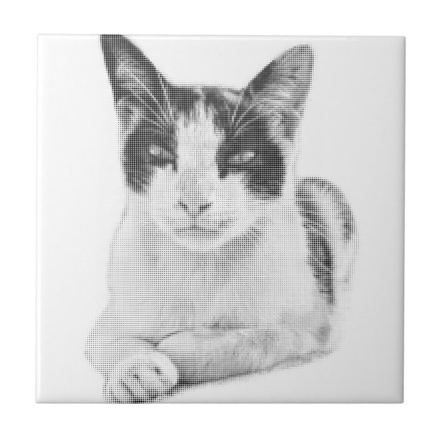 Calico Pop Halftone Tile (Front)