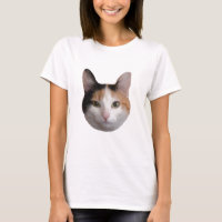 Calico Portrait