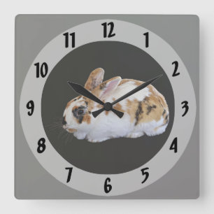 Calico Rabbit Square Wall Clock