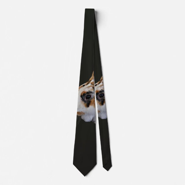 Calico Rabbit Tie (Front)