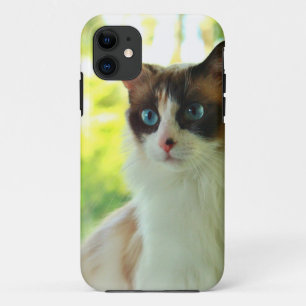 Calico Ragdoll Kitty Custom Phone Cases and Skins