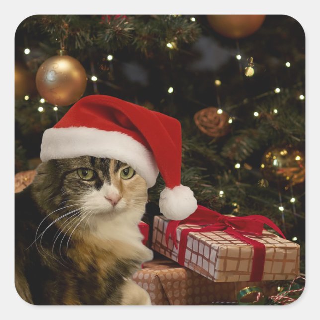Calico Santa Kitty Stickers (Front)