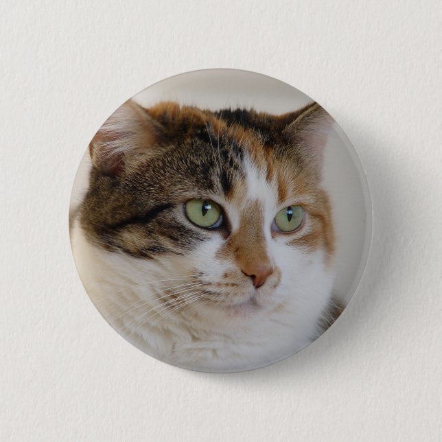 Calico tabby cat face 6 cm round badge (Front)