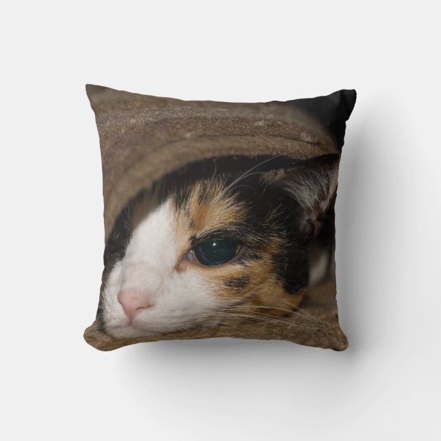 Calico Taco Cushion (Front)