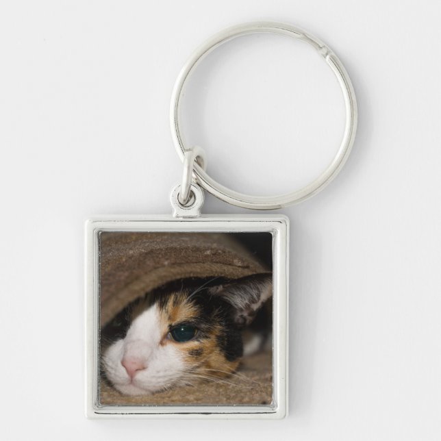 Calico Taco Key Ring (Front)