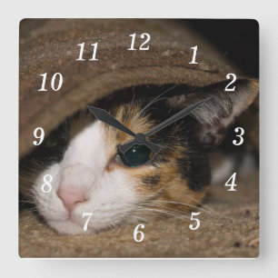 Calico Taco Square Wall Clock