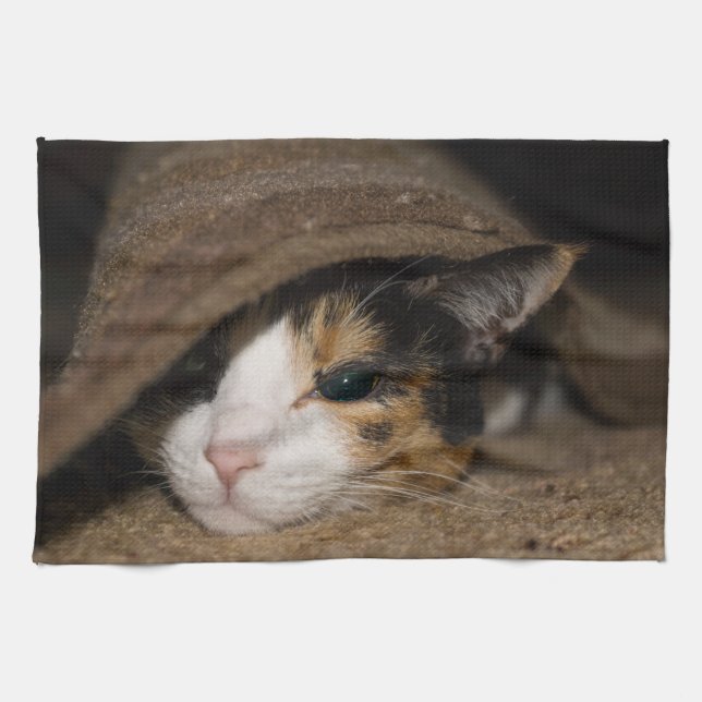 Calico Taco Tea Towel (Horizontal)
