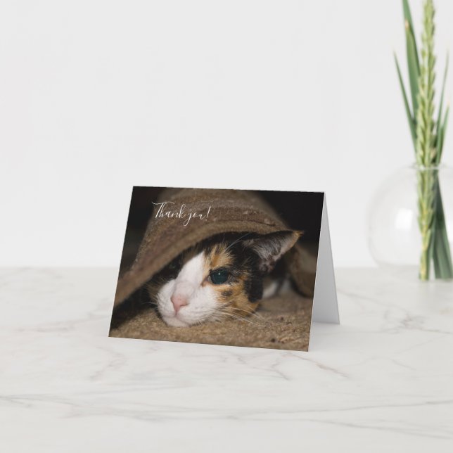 Calico Taco Thank You Card (Front)
