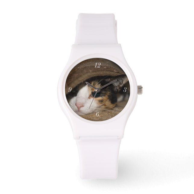 Calico Taco Watch (Front)