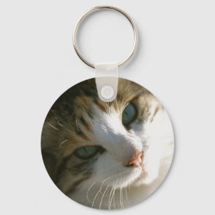 Calico Tiger Cat Key Ring