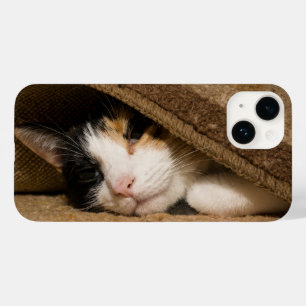 Calico Under The Rug iPhone Case