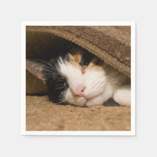 Calico Under The Rug Napkin