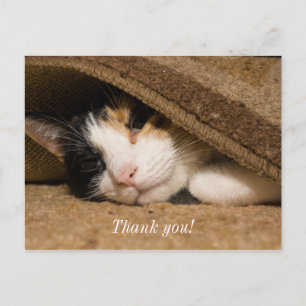 Calico Under The Rug Thank You Postcard