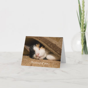 Calico Under The Rug Thinking Of You Card